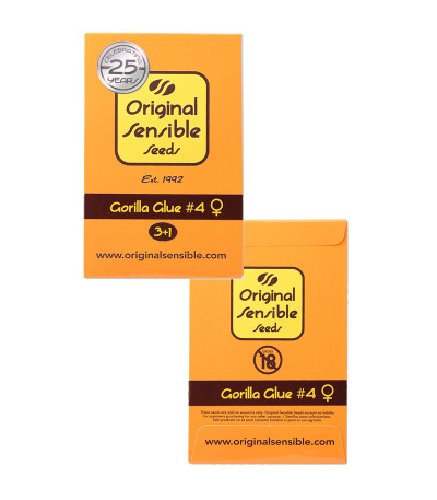 Семена сорта Gorilla Glue #4 fem (Original Sensible Seeds) — изображение 2