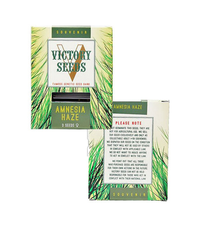 Семена сорта Amnesia Haze fem (Victory Seeds) — изображение 2