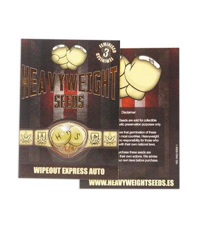 Wipeout Express auto (Heavyweight Seeds) семена конопли — изображение 2