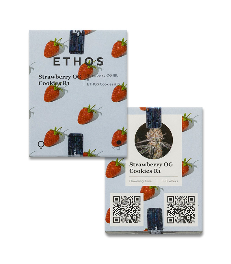 Strawberry OG Cookies R1 fem (Ethos Genetics) семена конопли