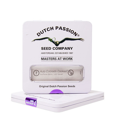 Auto Colorado Cookies fem (Dutch Passion) семена конопли — изображение 2