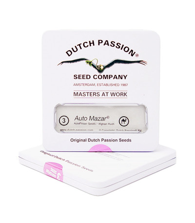 Auto Mazar fem (Dutch Passion) семена конопли — изображение 2