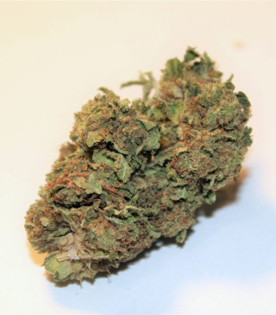 Delicious Cookies fem (Delicious Seeds) семена конопли — изображение 6