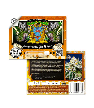 Orange Apricot Glue XL Auto fem (Sweet Seeds) семена конопли — изображение 7
