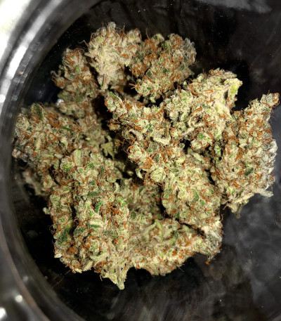 Gelato Auto fem (Herbies Seeds) семена конопли — изображение 6