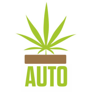 Автоцветы Сативы