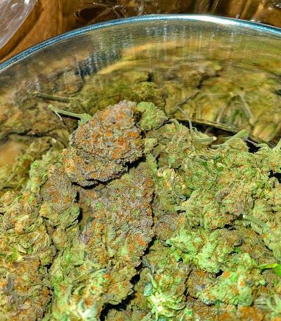Banana Hammock RBX fem (Ethos Genetics) семена конопли — изображение 2