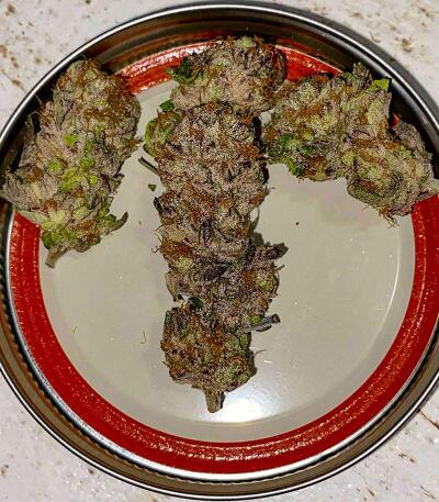 Punchberry Cookies RBX fem (Ethos Genetics) семена конопли — изображение 4