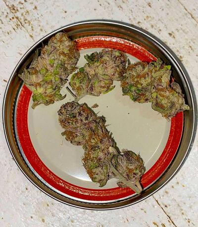 Punchberry Cookies RBX fem (Ethos Genetics) семена конопли — изображение 5
